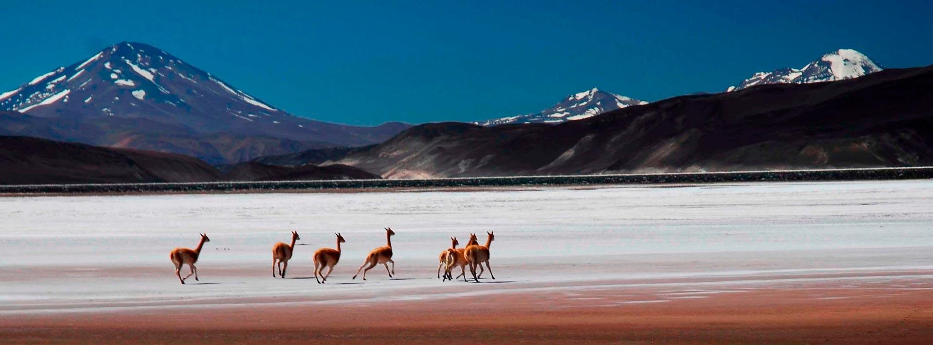 Catamarca