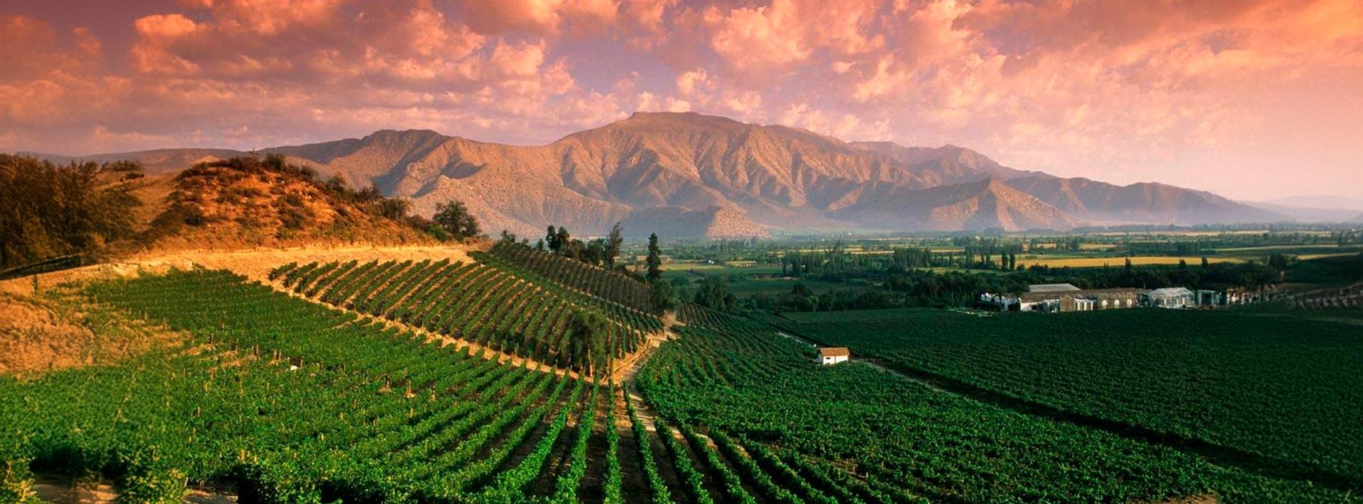 Mendoza