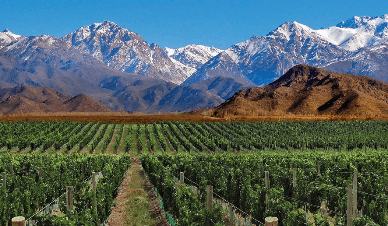 Viñedos en Mendoza con la Cordillera de los Andes de fondo | Alquiler de autos Hertz Argentina para recorrer rutas del vino y destinos turísticos