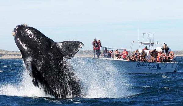 Puerto Madryn